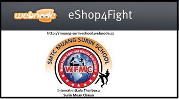 7/2014Inz: eShop4Fight
